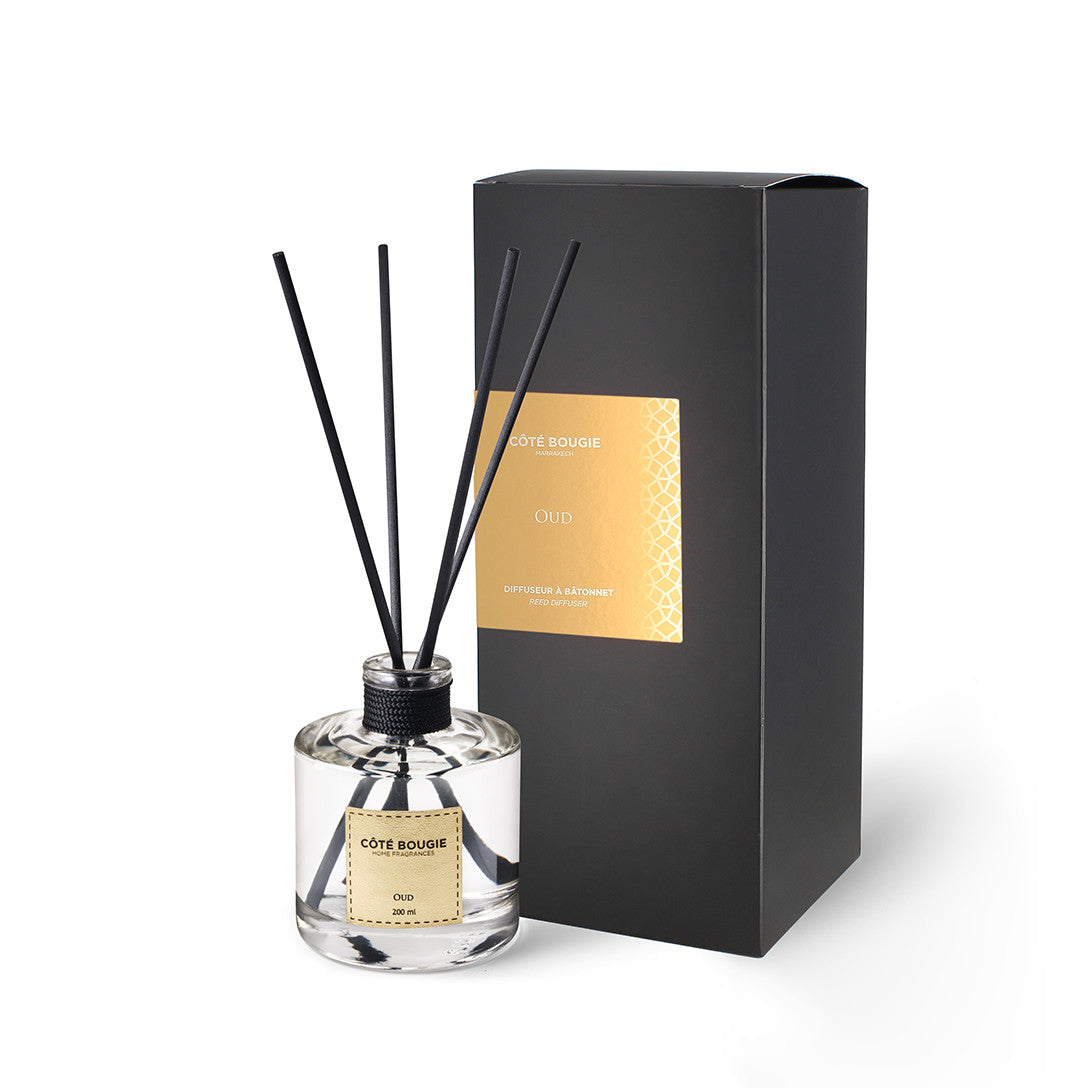 Diffuseurs d'intérieur : Plongez dans un Parfum Continu (100ML)