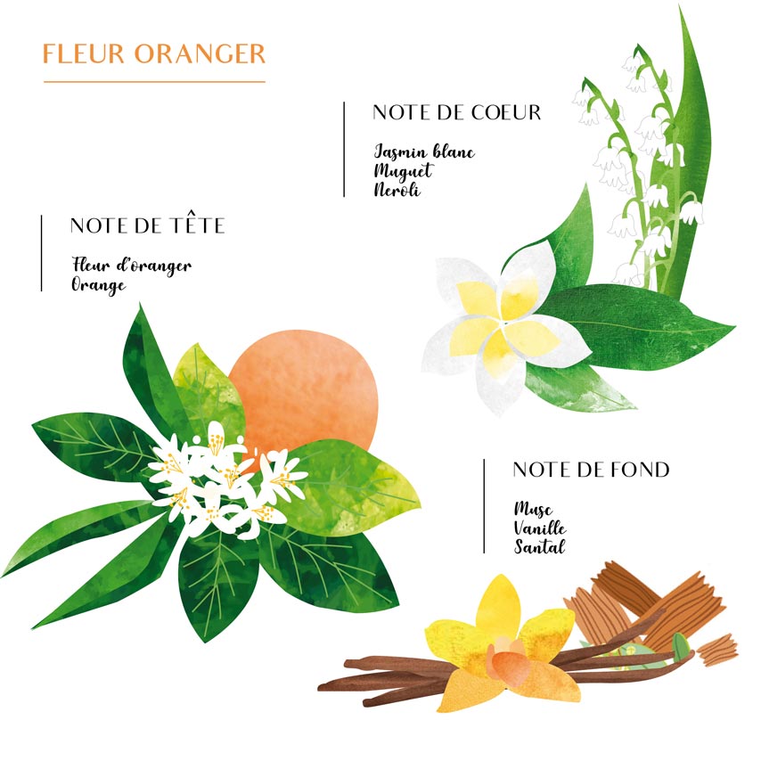 Diffuseurs d'intérieur : Plongez dans un Parfum Continu (100ML)