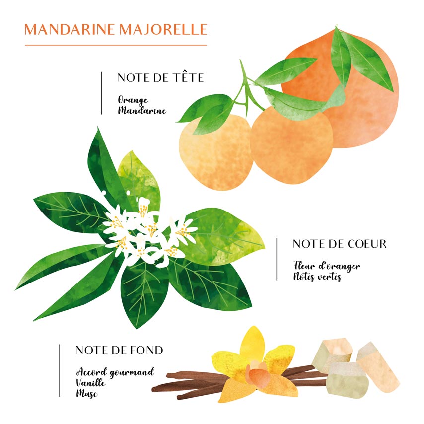 Diffuseurs d'intérieur : Plongez dans un Parfum Continu (100ML)