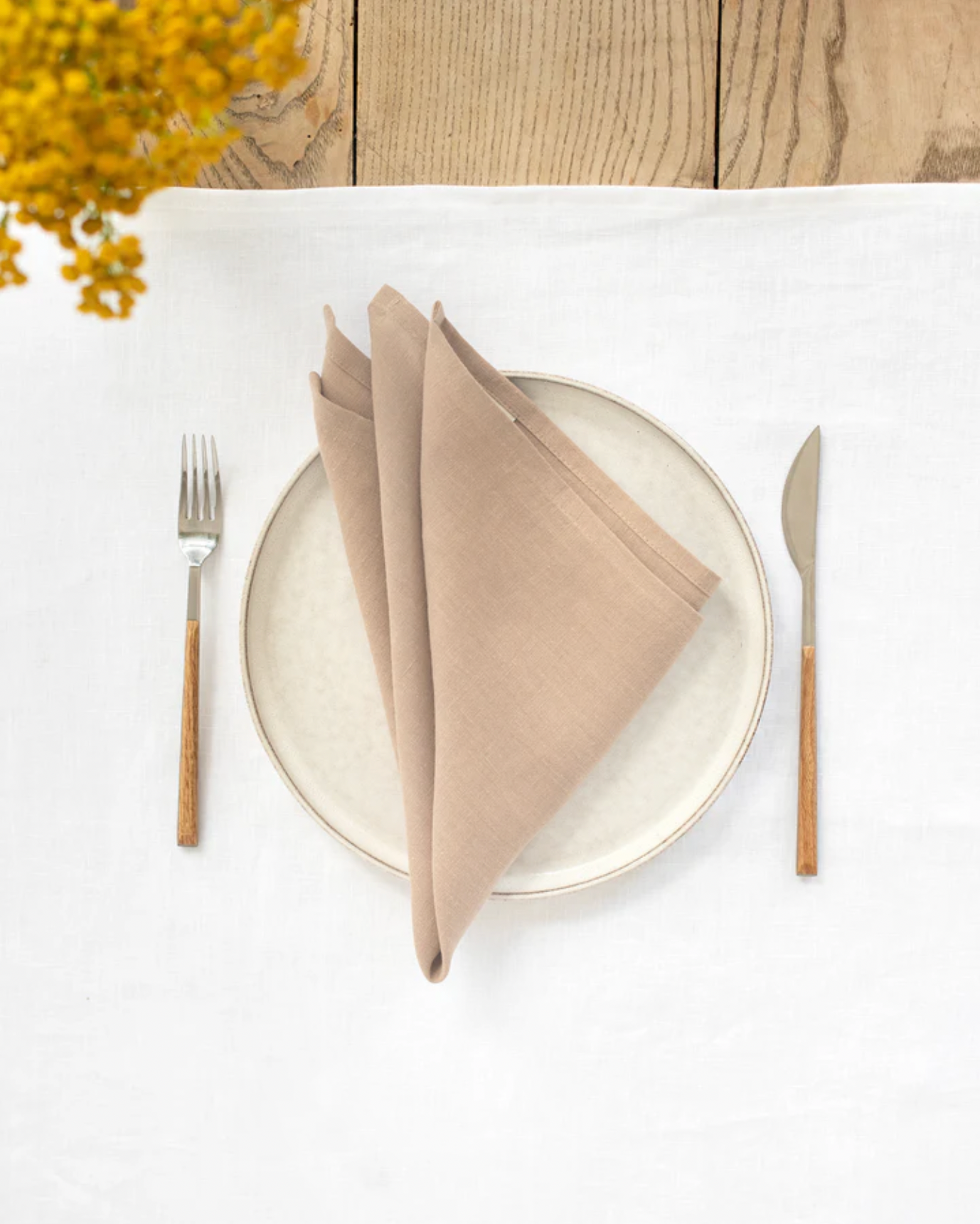 Set of 2 Linen Napkins