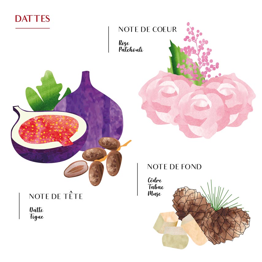 Diffuseurs d'intérieur : Plongez dans un Parfum Continu (100ML)