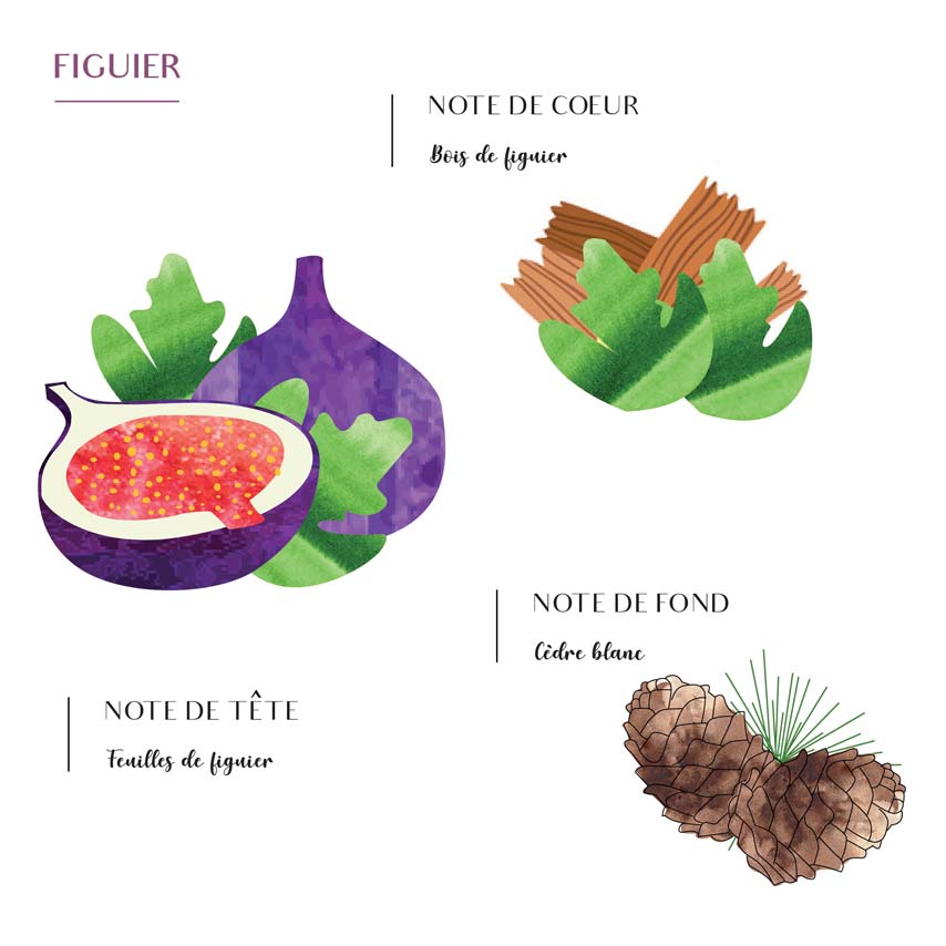 Diffuseurs d'intérieur : Plongez dans un Parfum Continu (100ML)