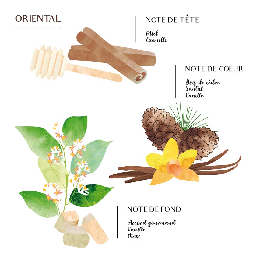 Diffuseurs d'intérieur : Plongez dans un Parfum Continu (100ML)