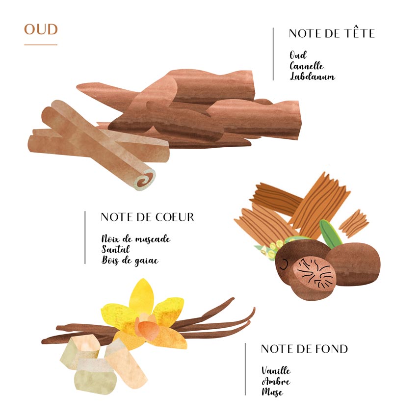 Diffuseurs d'intérieur : Plongez dans un Parfum Continu (100ML)