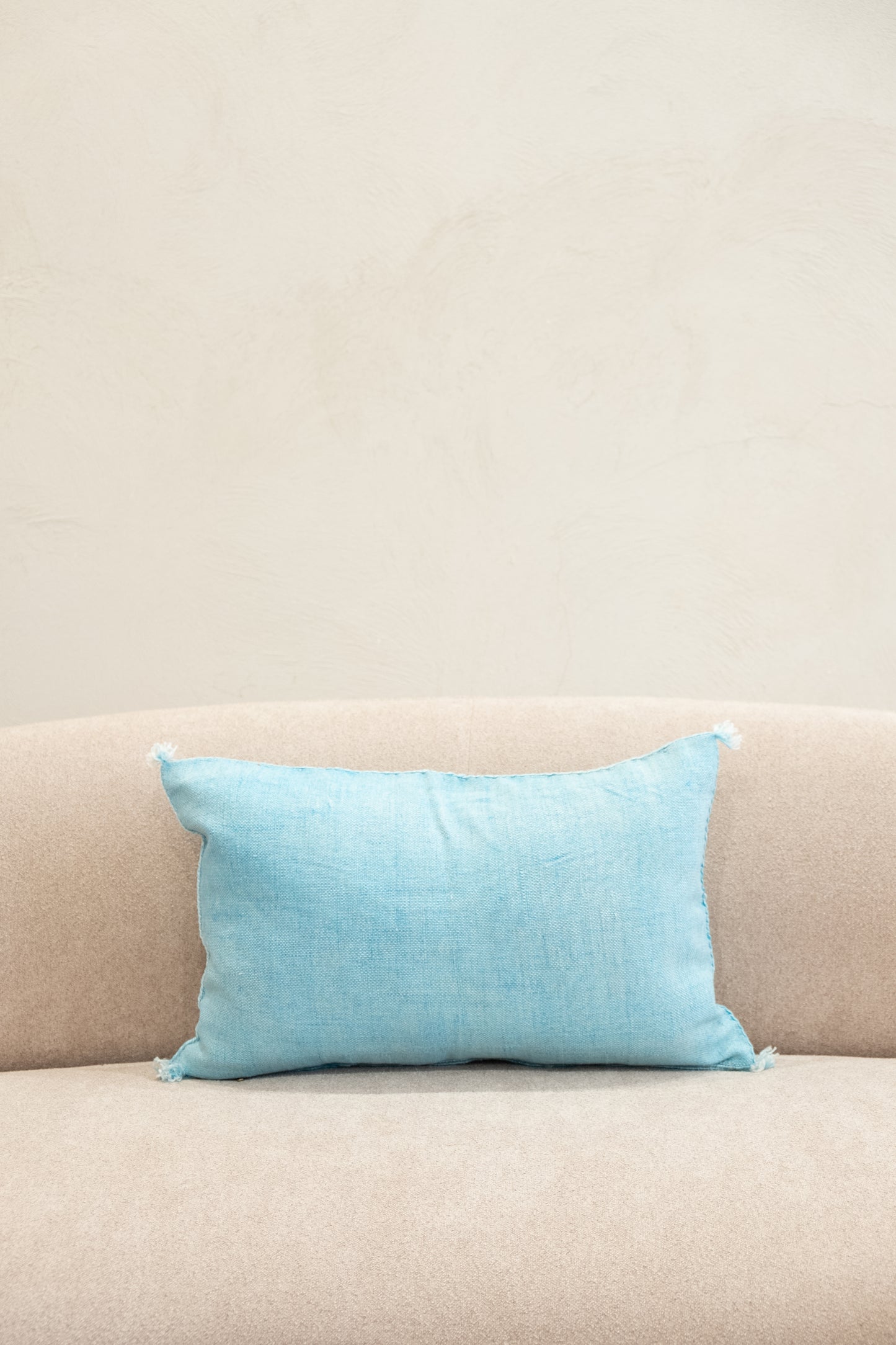 Housse De Coussin En Soie De Cactus 40x60 cm