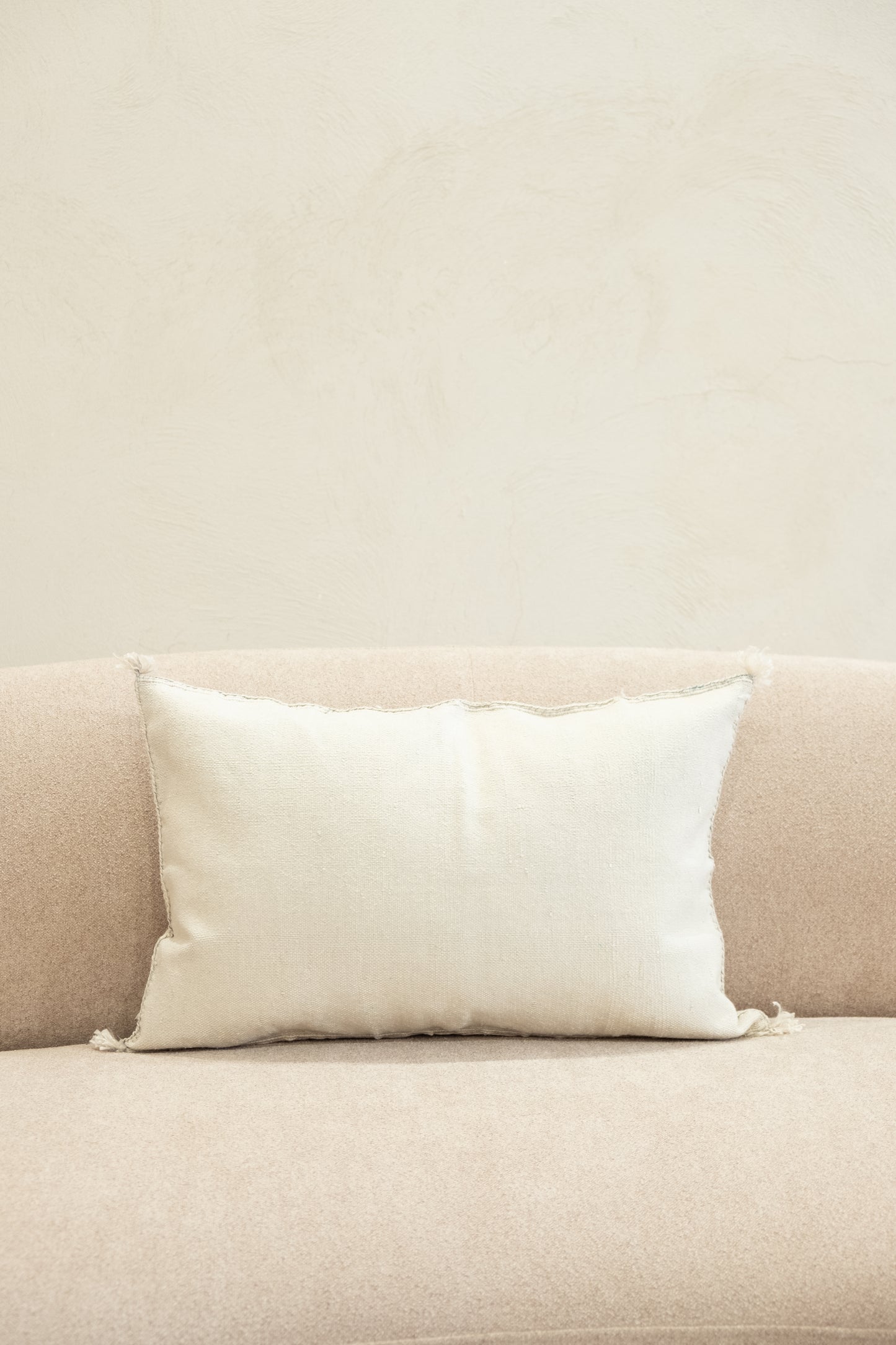 Housse De Coussin En Soie De Cactus 40x60 cm