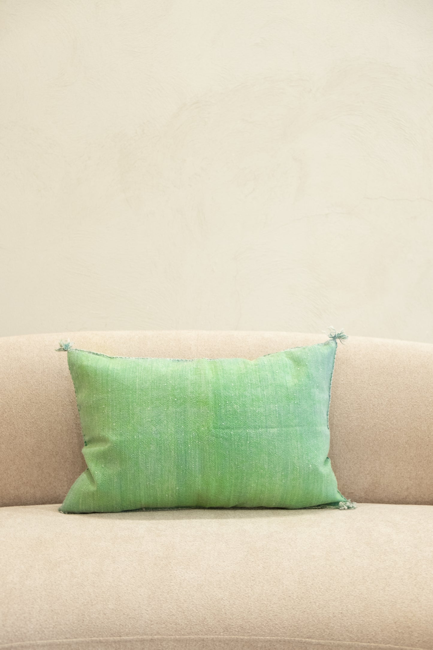Housse De Coussin En Soie De Cactus 40x60 cm