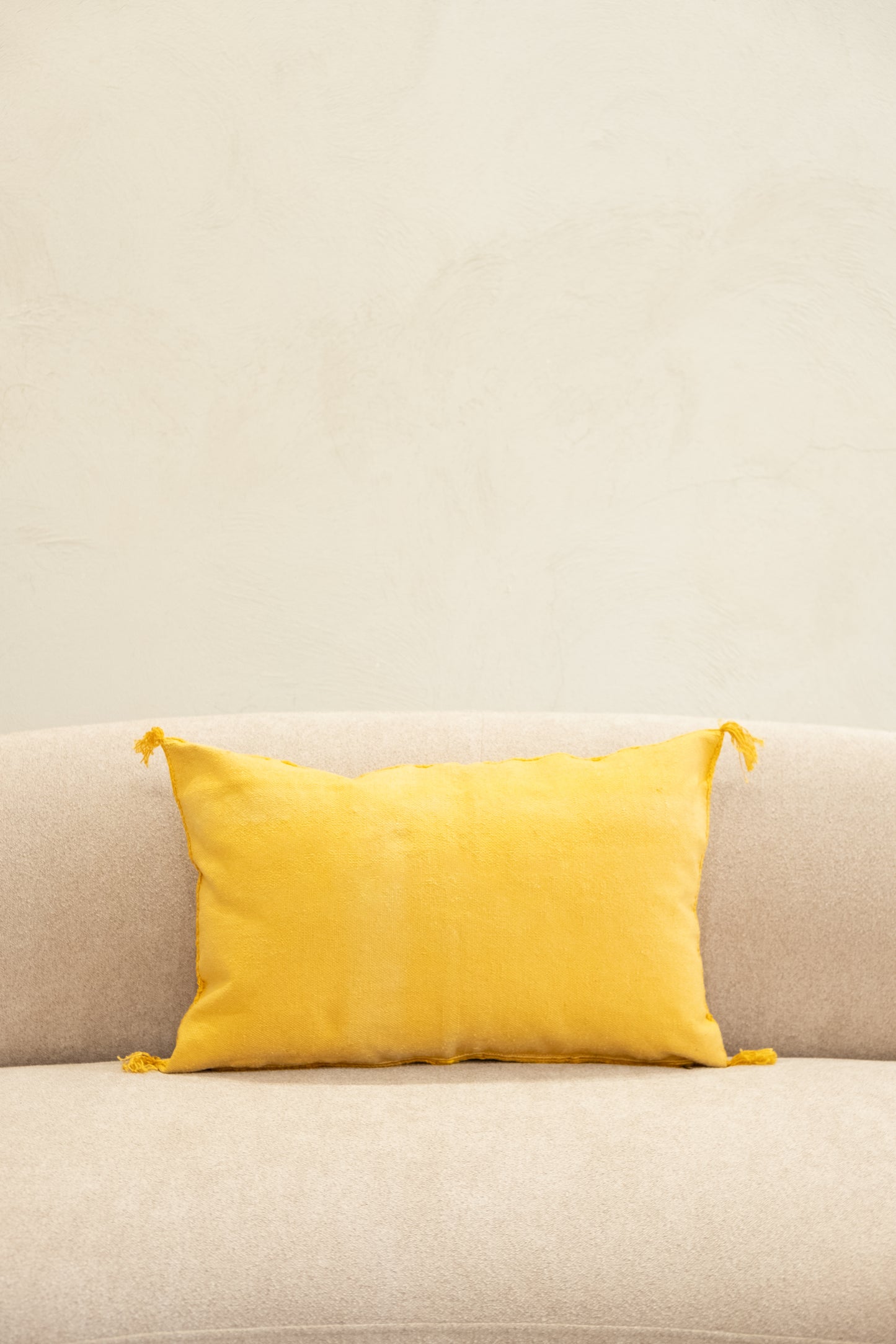 Housse De Coussin En Soie De Cactus 40x60 cm