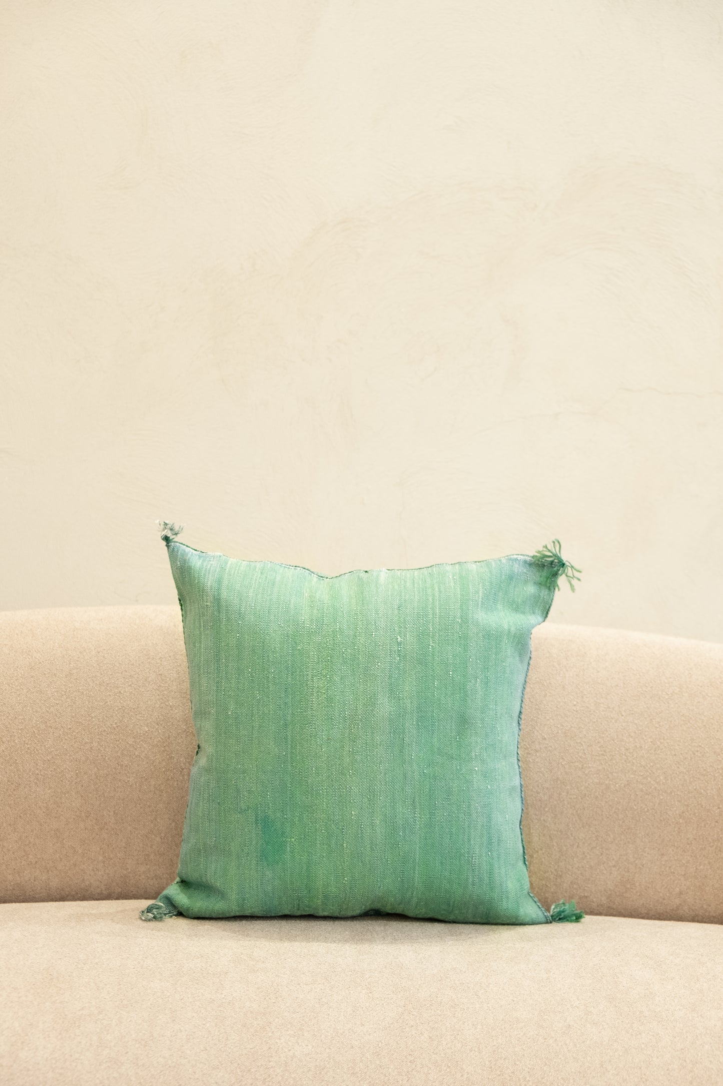 Housse De Coussin En Soie De Cactus 50x50 CM
