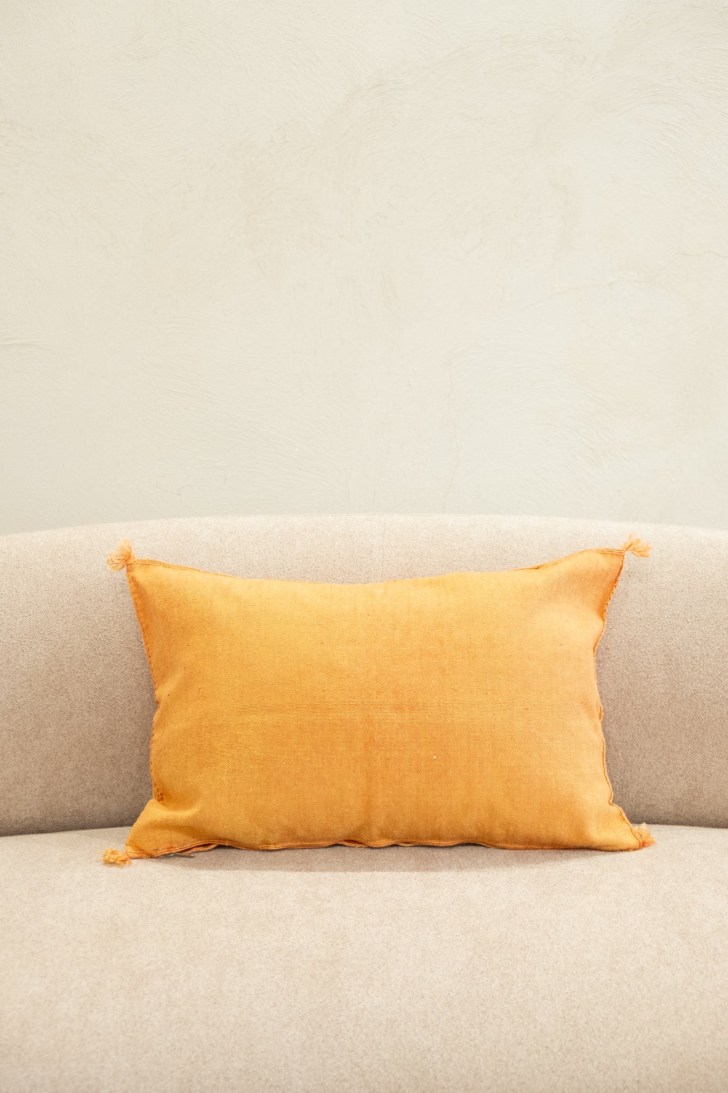 Housse De Coussin En Soie De Cactus 40x60 cm