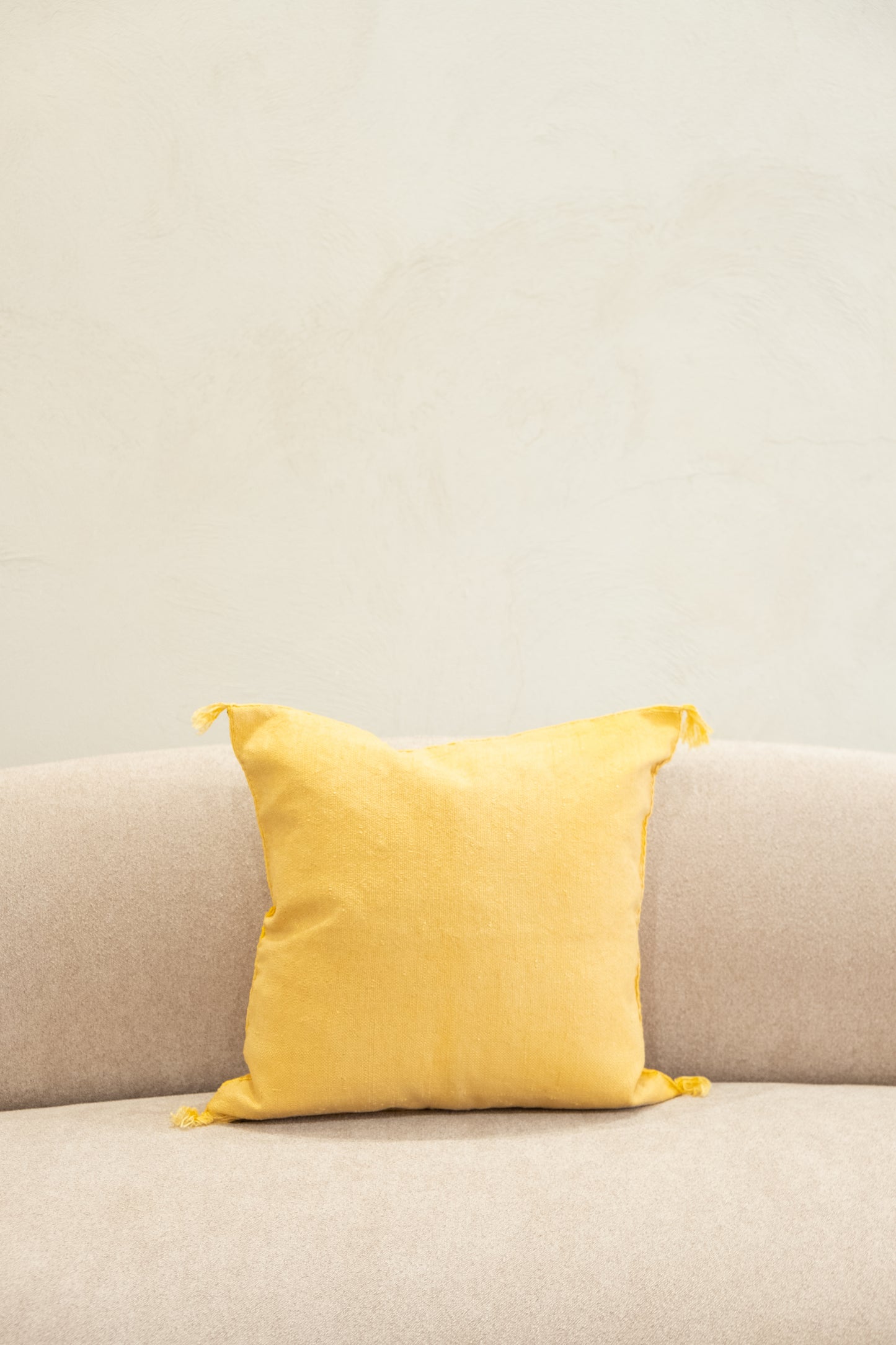 Housse De Coussin En Soie De Cactus 50x50 CM