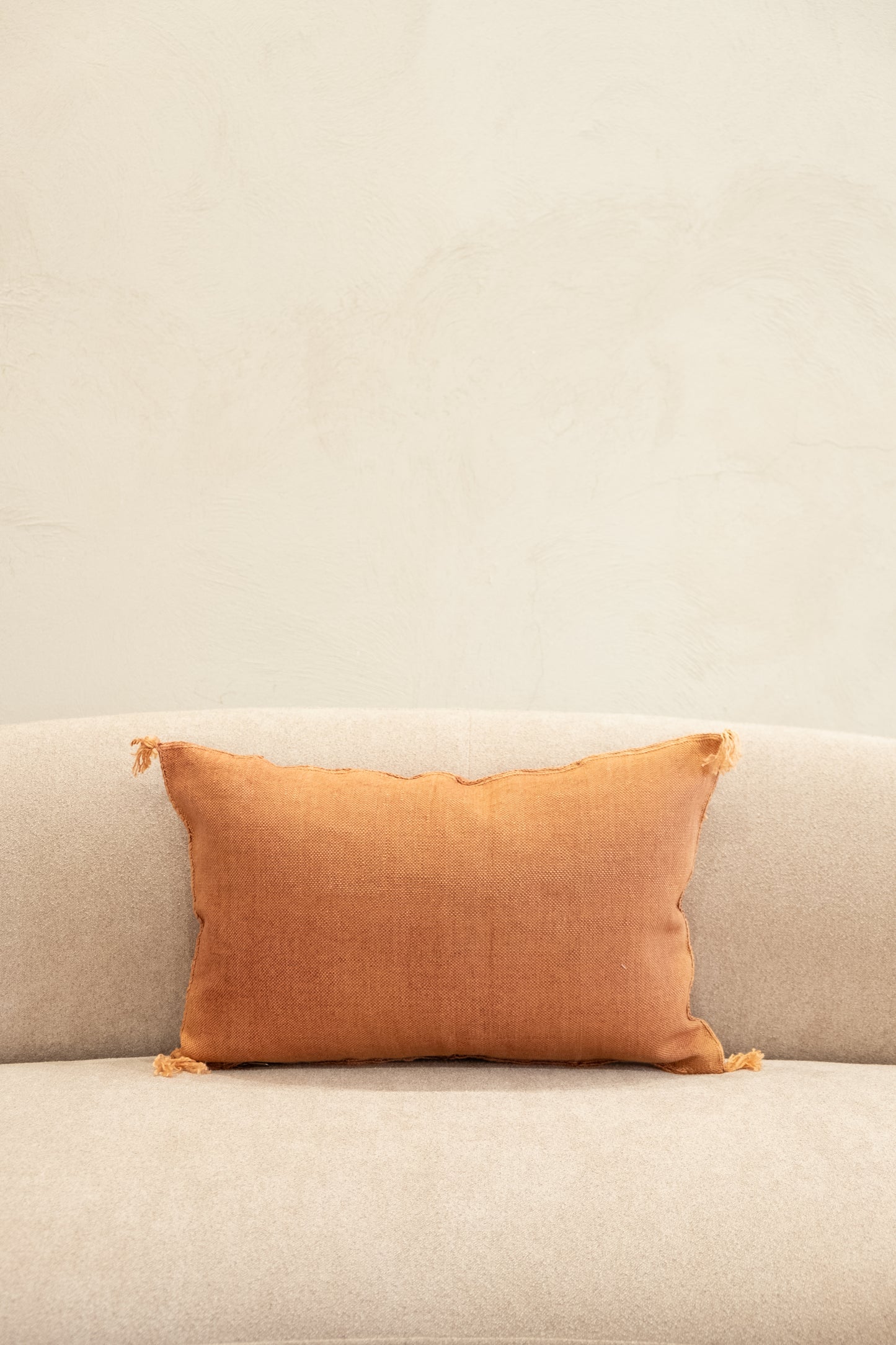 Housse De Coussin En Soie De Cactus 40x60 cm
