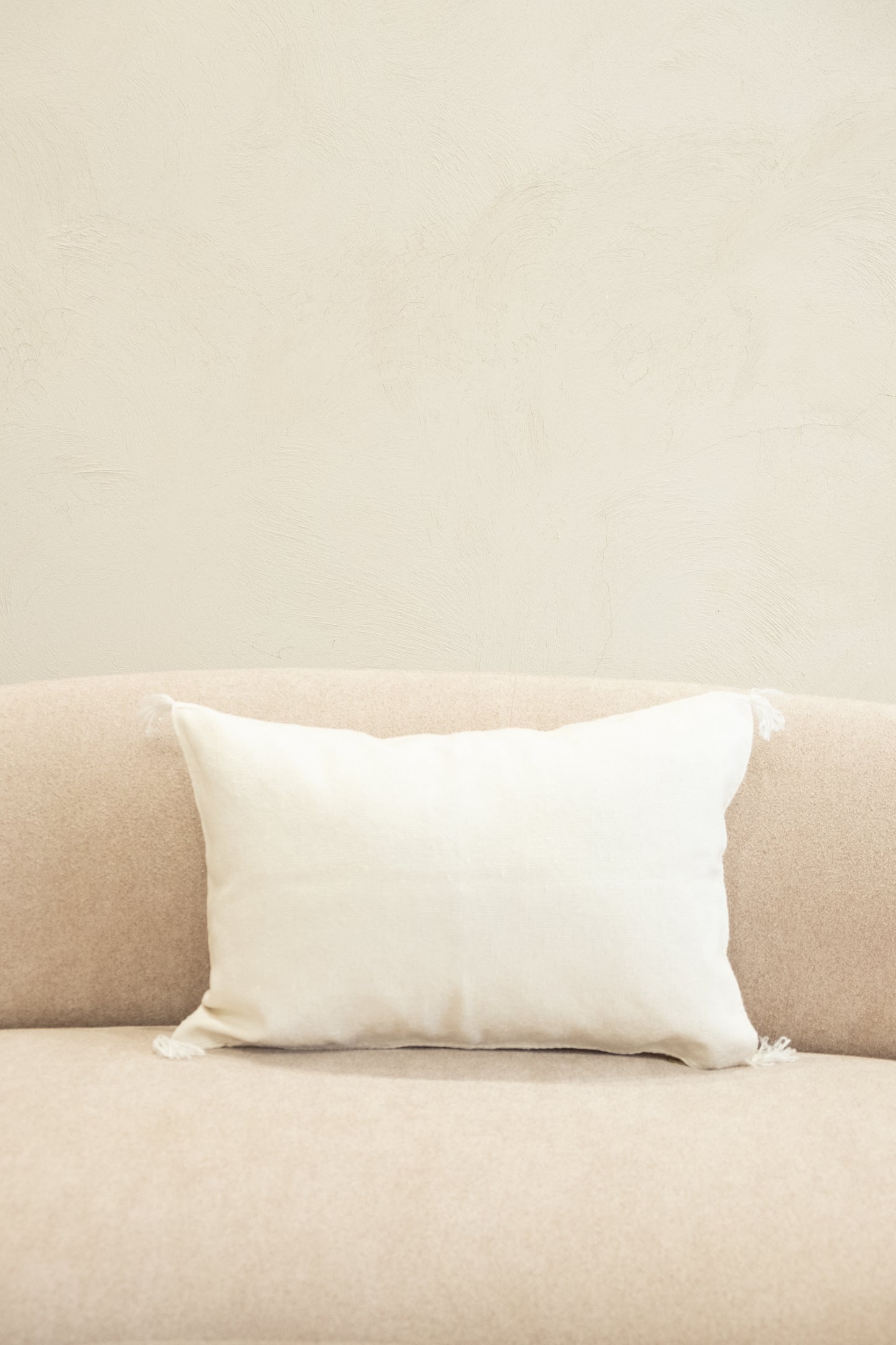 Housse De Coussin En Soie De Cactus 40x60 cm